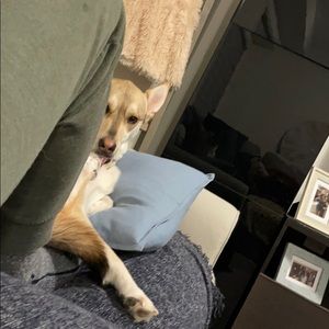 Meet your Posher, Kathryn